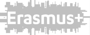erasmus plus grey